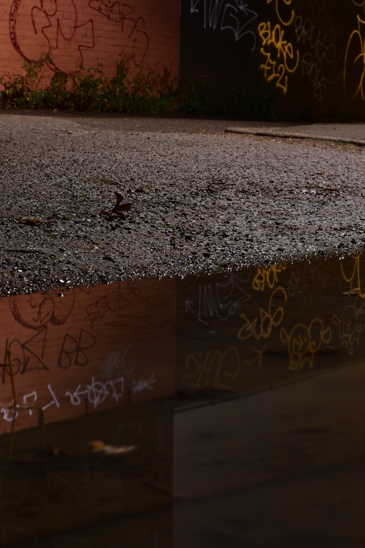 London/Forest Hill/DSC_6181.JPG